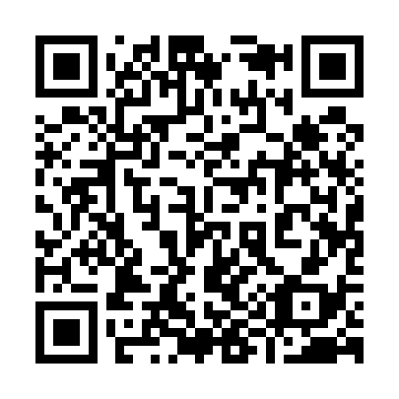 QR code for plate 991-538