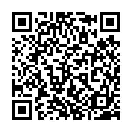 QR code for 991633