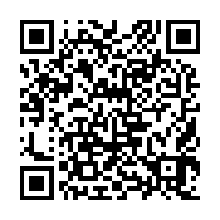 QR code for plate 991-943