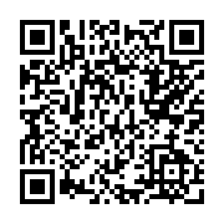 QR code for 99295