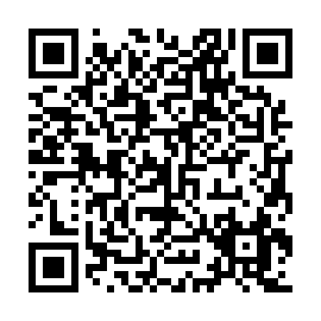 QR code for 99313