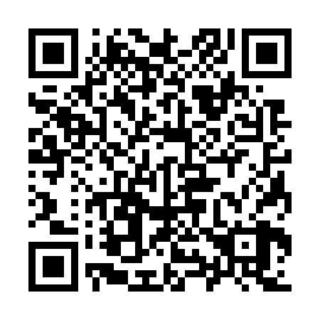 QR code for plate 993-728