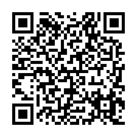 QR code for 99493