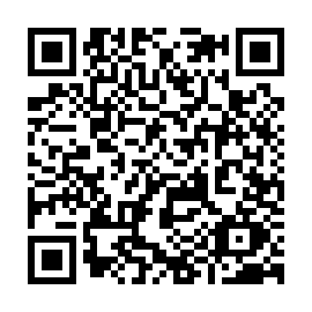 QR code for 9951