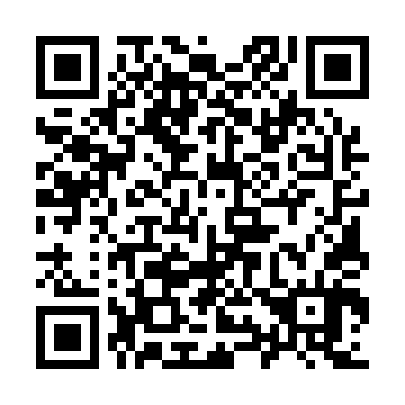 QR code for plate 995-144