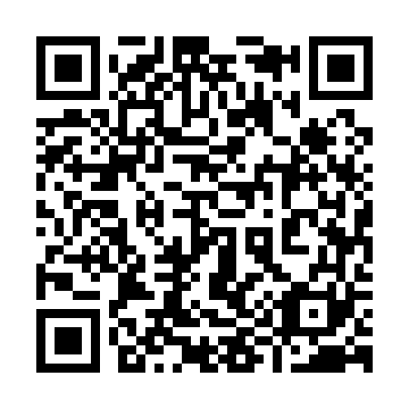 QR code for plate 995-161