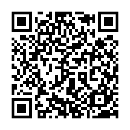 QR code for plate 995-527