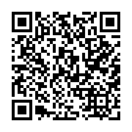 QR code for plate 995-589
