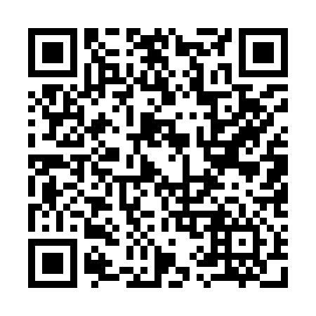 QR code for plate 995-916
