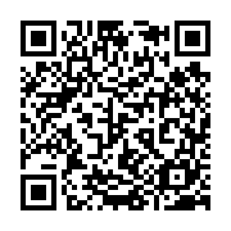 QR code for plate 996-665
