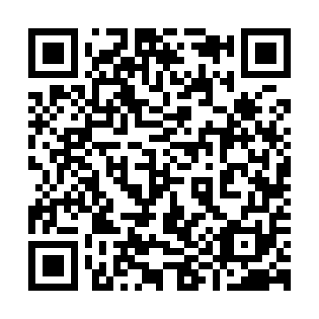 QR code for plate 996-951