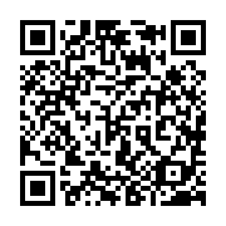 QR code for plate 998-199