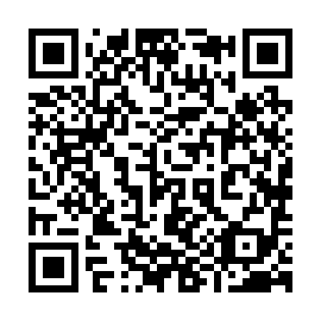 QR code for plate 998-299