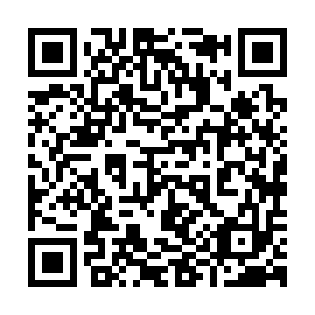 QR code for plate 998-313
