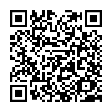 QR code for 9991