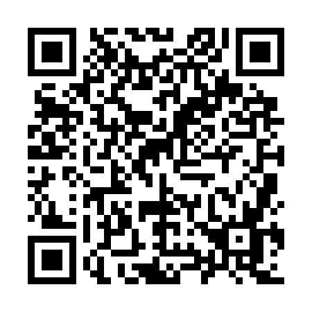 QR code for 9993