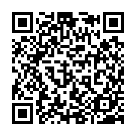 QR code for plate 999-700