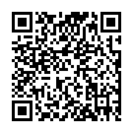 QR code for AA238