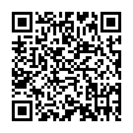 QR code for AI519