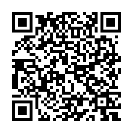 QR code for AP96