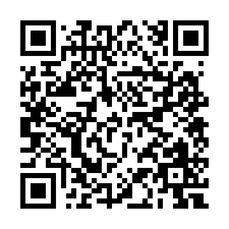 QR code for BA221