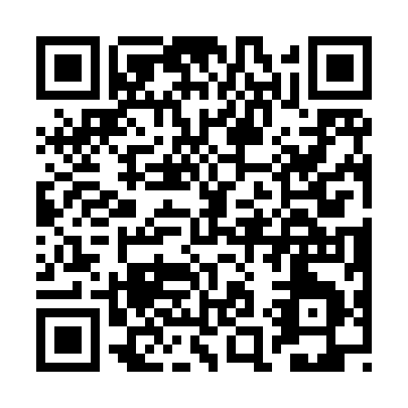 QR code for BA389