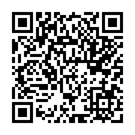 QR code for BA838