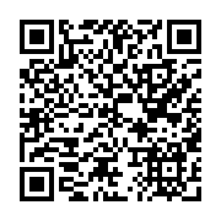 QR code for BI51