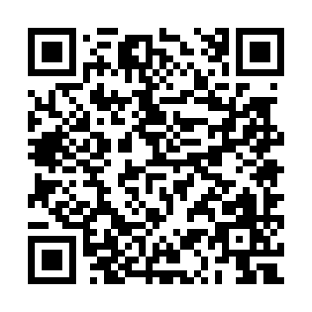 QR code for BQ509