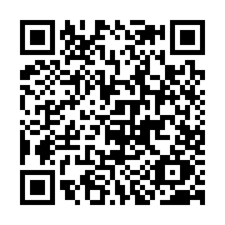 QR code for CI13