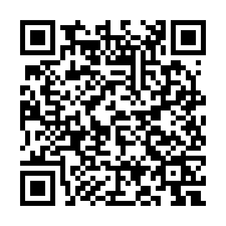 QR code for CI22