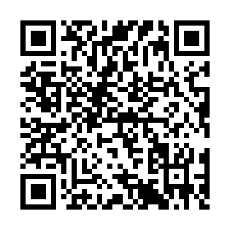 QR code for CI953
