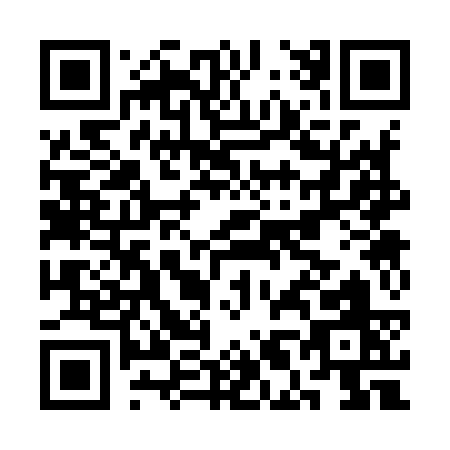 QR code for CL393