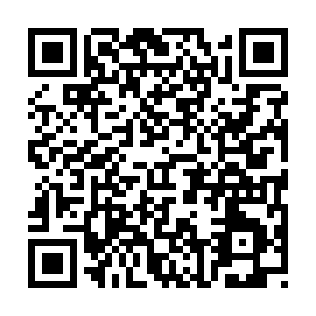 QR code for CN919