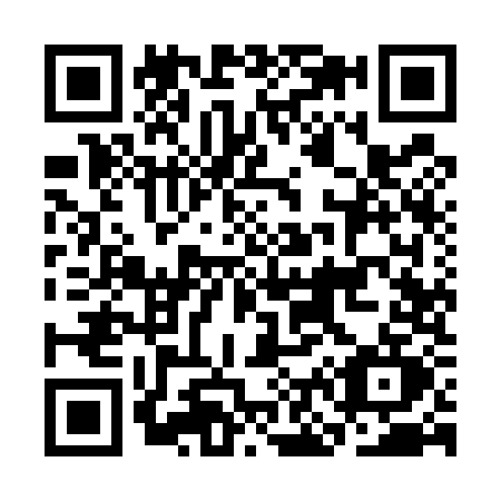 QR code for CN95