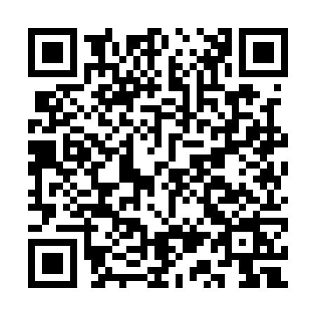 QR code for CQ11