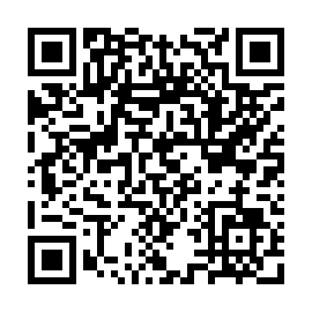QR code for CT294