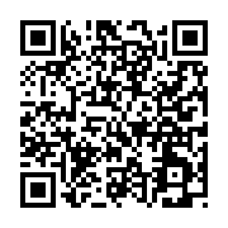 QR code for CT495