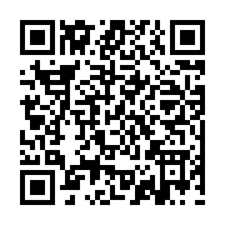 QR code for CZ387