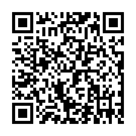 QR code for DD207