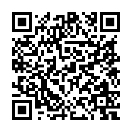 QR code for DD383