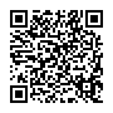QR code for DE311