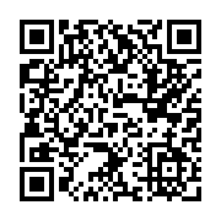 QR code for DG411