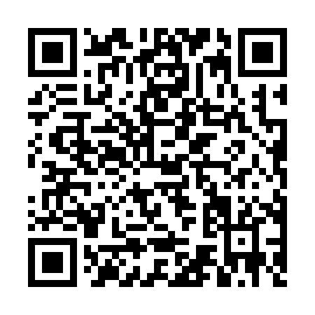 QR code for DG438