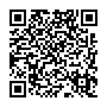 QR code for DG462
