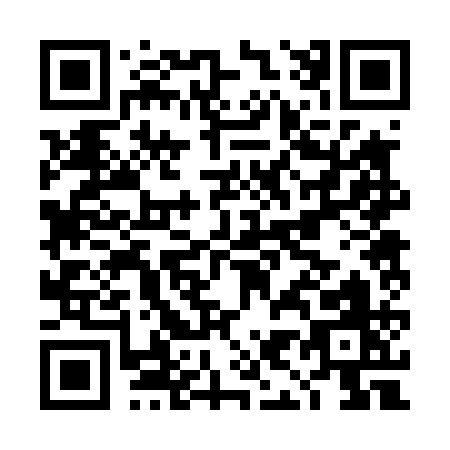 QR code for DI241