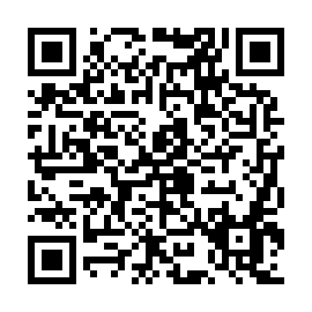 QR code for DI295