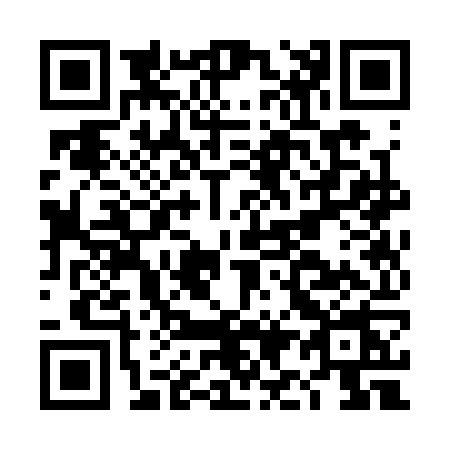 QR code for DI33