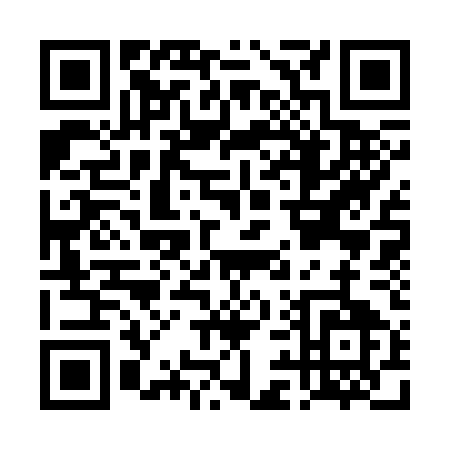 QR code for DI335