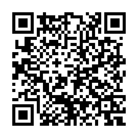 QR code for DI95